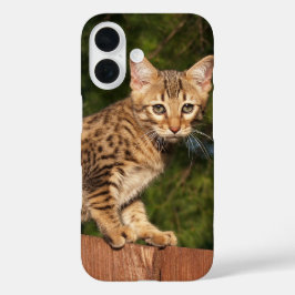 サバンナ猫の電話ケース iPhone 16ケース