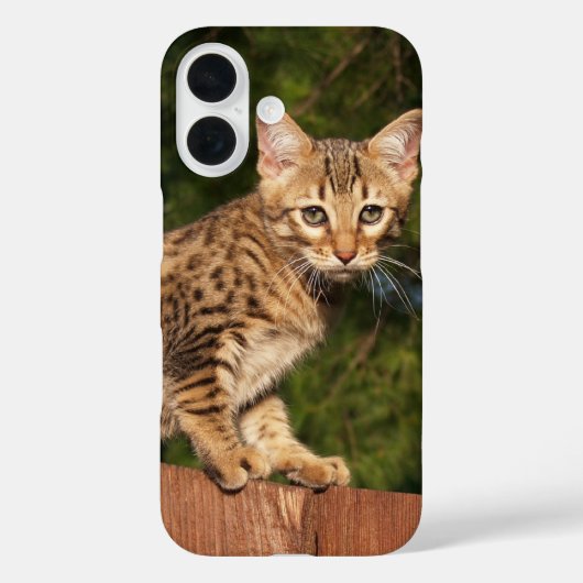 サバンナ猫の電話ケース Case-Mate iPhoneケース (裏面)
