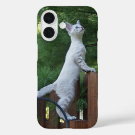 サバンナ猫の電話ケース iPhone 16ケース