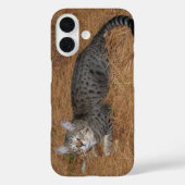 サバンナ猫の電話ケース Case-Mate iPhoneケース (裏面)