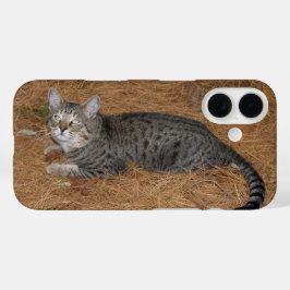 サバンナ猫の電話ケース iPhone 16ケース