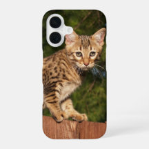 サバンナ猫の電話ケース