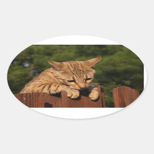 サバンナ猫オーバルステッカー 楕円形シール
