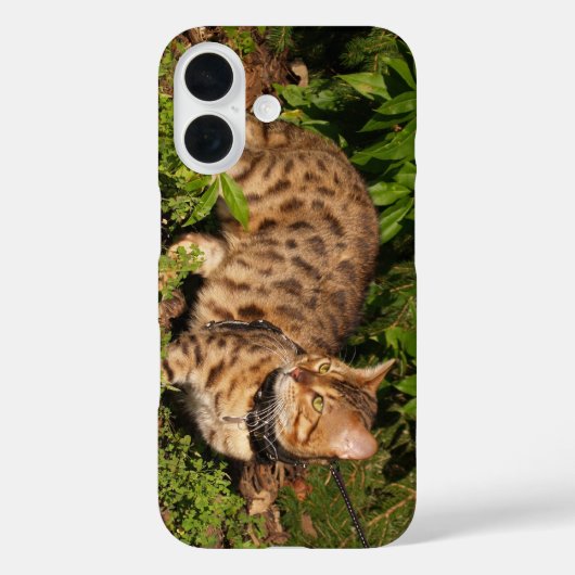 サバンナ猫ケース Case-Mate iPhoneケース (裏面)