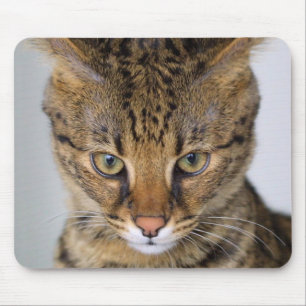 サバンナ猫 マウスパッド