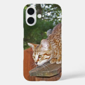 サバンナ猫iPhoneケース Case-Mate iPhoneケース (裏面)