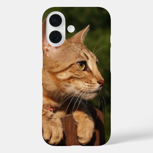 サバンナ猫iPhoneケース Case-Mate iPhoneケース (裏面)