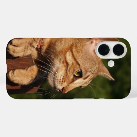 サバンナ猫iPhoneケース Case-Mate iPhoneケース (裏面 (横))