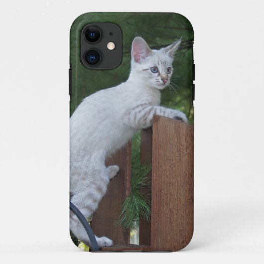 サバンナ猫iPhone 5ケースメイトKolly There Case-Mate iPhoneケース (裏面)