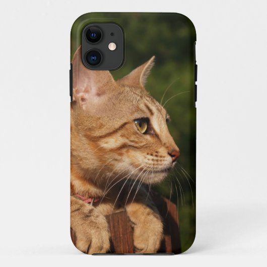サバンナ猫iPhone 5ケースメイトKolly There Case-Mate iPhoneケース (裏面)