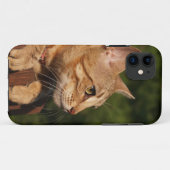 サバンナ猫iPhone 5ケースメイトKolly There Case-Mate iPhoneケース (裏面(横))