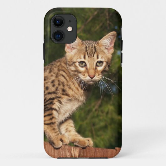 サバンナ猫iPhone 5ケースメイトKolly There Case-Mate iPhoneケース (裏面)