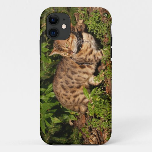 サバンナ猫iPhone 5ケースメイトKolly There Case-Mate iPhoneケース (裏面)