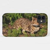 サバンナ猫iPhone 5ケースメイトKolly There Case-Mate iPhoneケース (裏面(横))