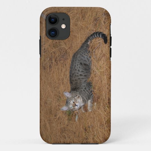 サバンナ猫iPhone 5 Case-Mate iPhoneケース (裏面)