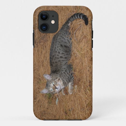 サバンナ猫iPhone 5 Case-Mate iPhoneケース (裏面)