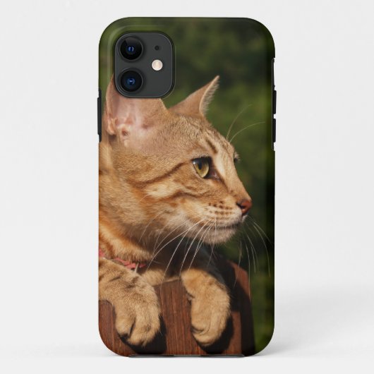 サバンナ猫iPhone 5 Case-Mate iPhoneケース (裏面)