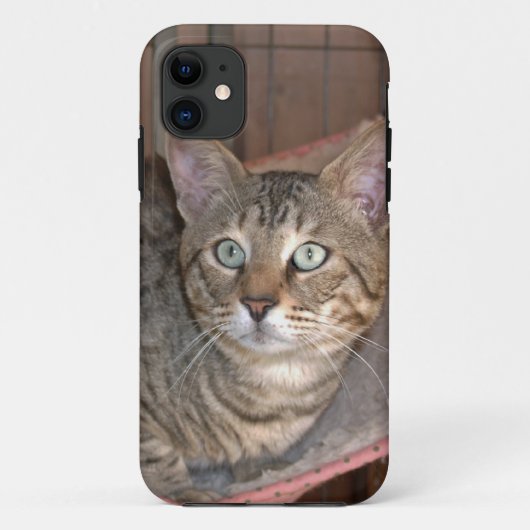 サバンナ猫iPhone 5 Case-Mate iPhoneケース (裏面)