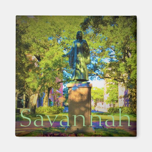 サバンナ磁石16 マグネット (正面)