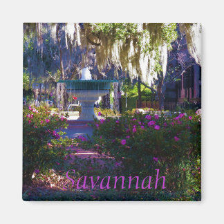 サバンナ磁石18 マグネット