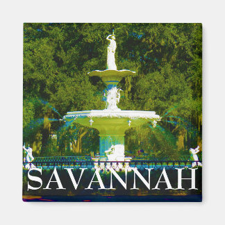 サバンナ磁石20 マグネット