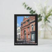 サバンナ綿花交換写真 ポストカード (スタンド正面)