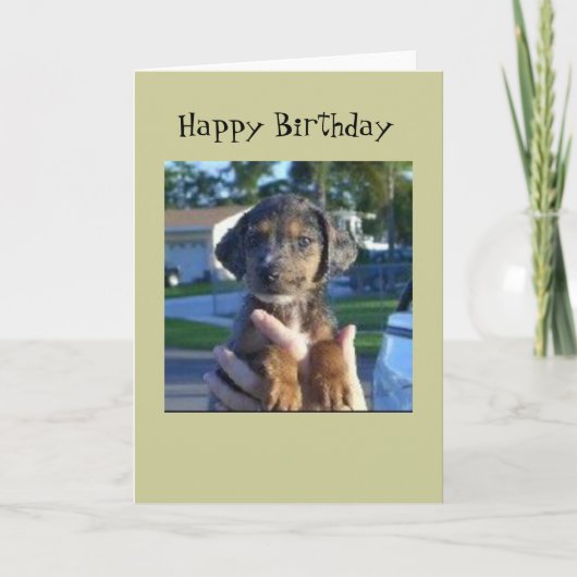 サバンナ カード (正面)