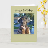 サバンナ カード (黄色い花)