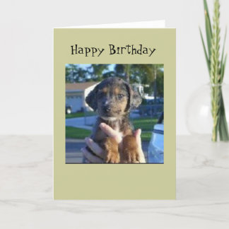 サバンナ カード