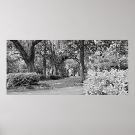 サバンナ・ガ・フォーサイス公園 ポスター