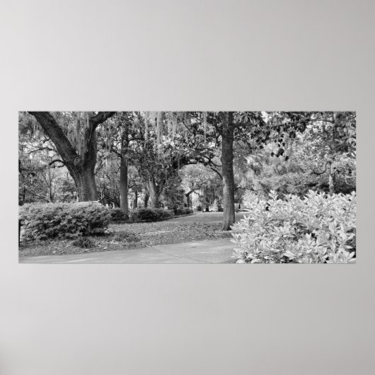サバンナ・ガ・フォーサイス公園 ポスター (正面)