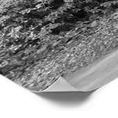 サバンナ・ガ・フォーサイス公園 ポスター (角)