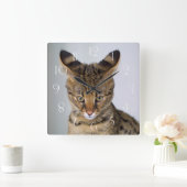 サバンナ·‎キャット スクエア壁時計 (ホーム)