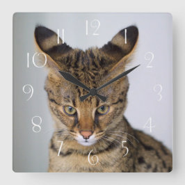 サバンナ·‎キャット スクエア壁時計