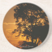 サバンナ・サンセット コースター (正面)