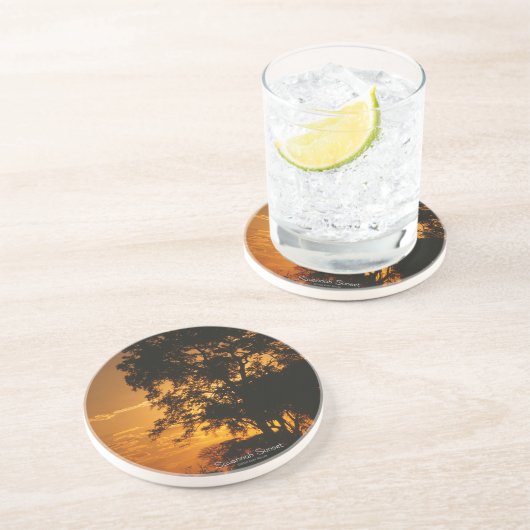 サバンナ・サンセット コースター (側面)