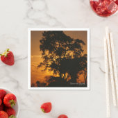 サバンナ・サンセット スタンダードカクテルナプキン (インサイチュ)