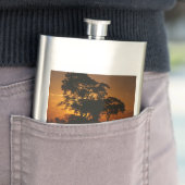 サバンナ・サンセット フラスク (インサイチュ)