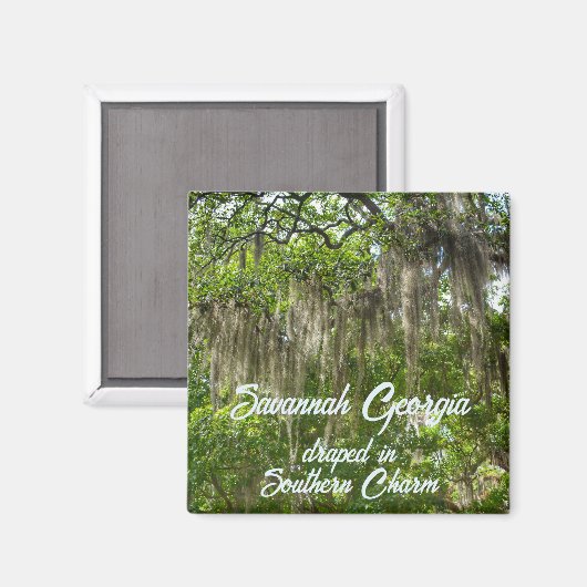 サバンナ（ジョージア州）のスペイン語の苔に覆われた生きたオークの木 マグネット (正面/裏面)