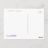 サバンナ・スパロウ ポストカード (裏面)