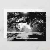 サバンナ ポストカード (正面/裏面)