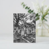 サバンナGAボナベンチャー墓地 ポストカード (スタンド正面)