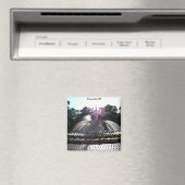 サバンナGA マグネット (インサイチュ (食洗機))