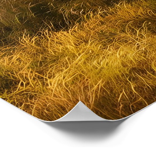 サバ威厳のあるナを徘徊するライオン ポスター (角)