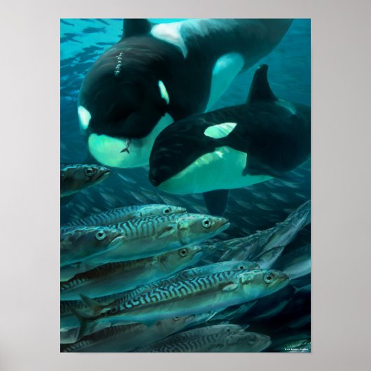 サバ学ー狩りへ ポスター (正面)