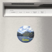 サバ磁石 マグネット (インサイチュ (食洗機))