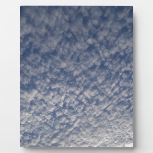 サバ空 フォトプラーク (正面)