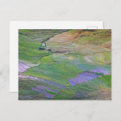 サパの水田 ポストカード (正面/裏面)