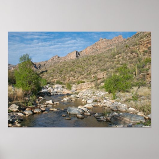 サビノキャニオン夕べ ポスター (正面)