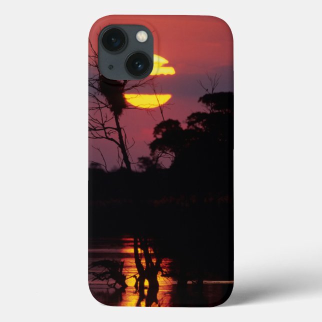 サビリバーアットサンセットクルーガー国立公園 Case-Mate iPhoneケース (Back)